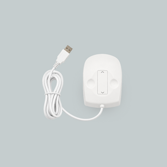 souris filaire